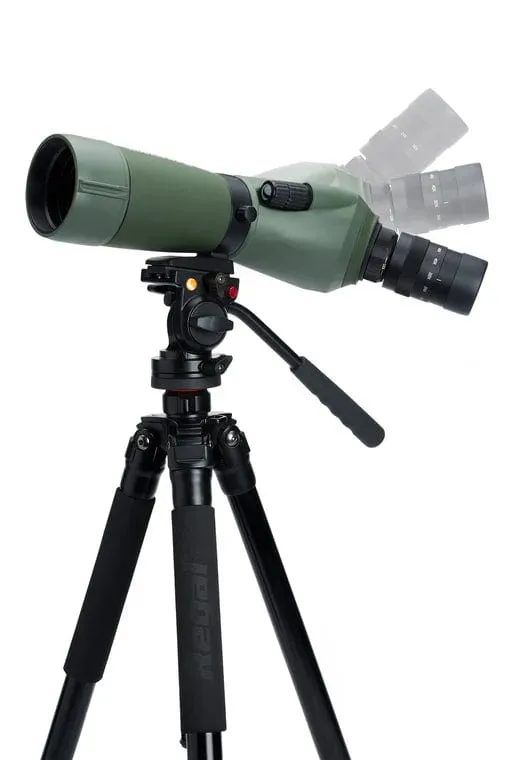 Celestron Regal M2 16-48x65mm ED Angled Zoom Spotting Scope - 52304