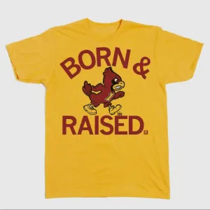 Cyclones Born & Raised Vintage Gold by Raygun