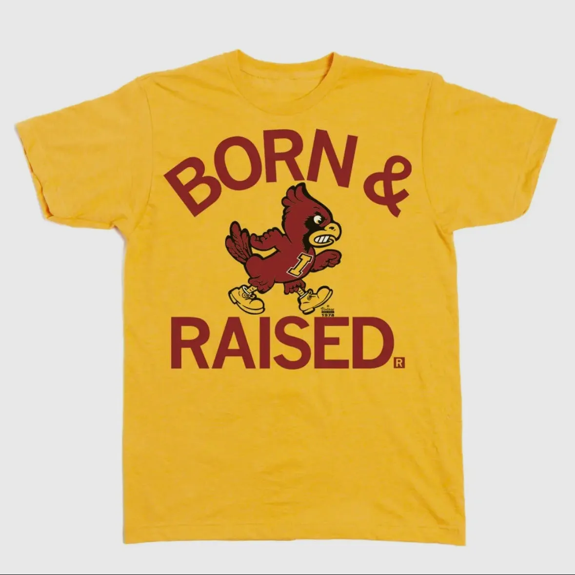 Cyclones Born & Raised Vintage Gold by Raygun