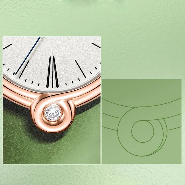 Seagull Infinity Series Mobius Ring Pattern Elegent Women's Automatic Watch 1043L